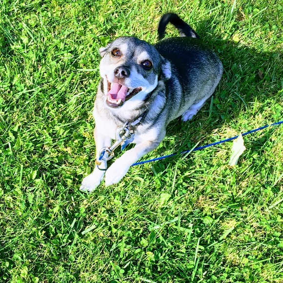 Meet your Posher, Brooke - Picture 2 of 4